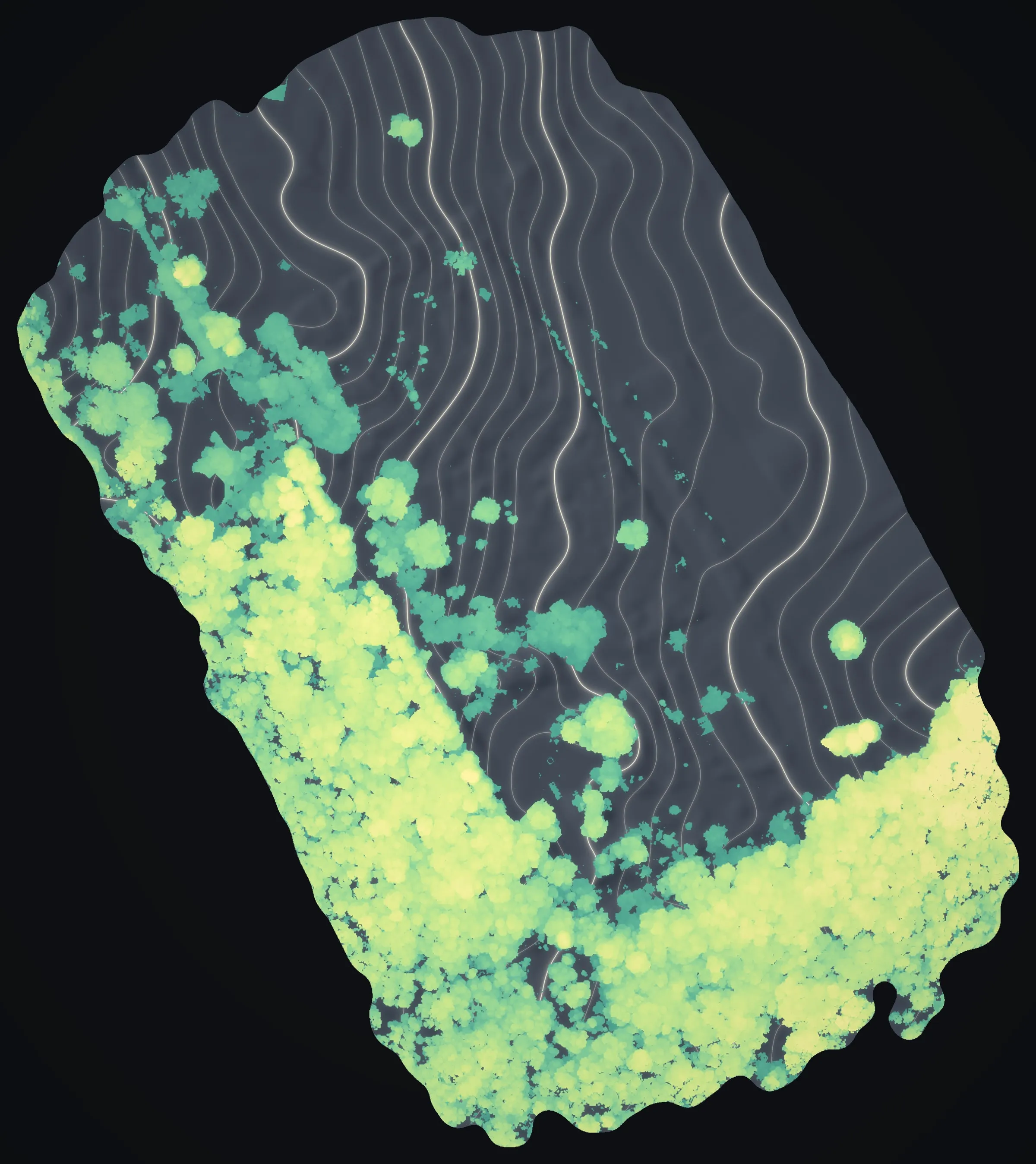 Canopy height across the Volcano parcel at night: the forest glowing sea green to butter yellow by height along two sides, scattered trees across the pasture.