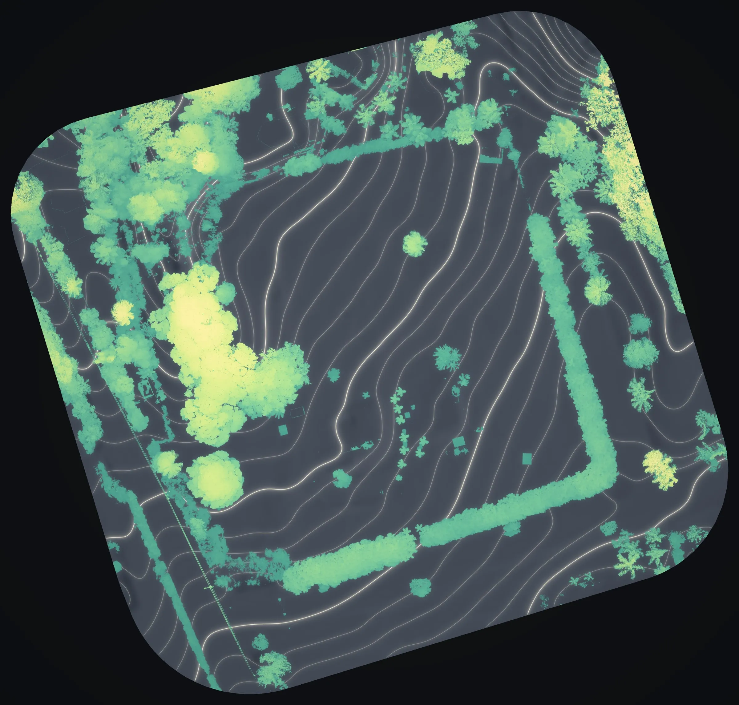 The hedgerows and trees of the Haʻikū flower farm glowing sea green to butter yellow by height.