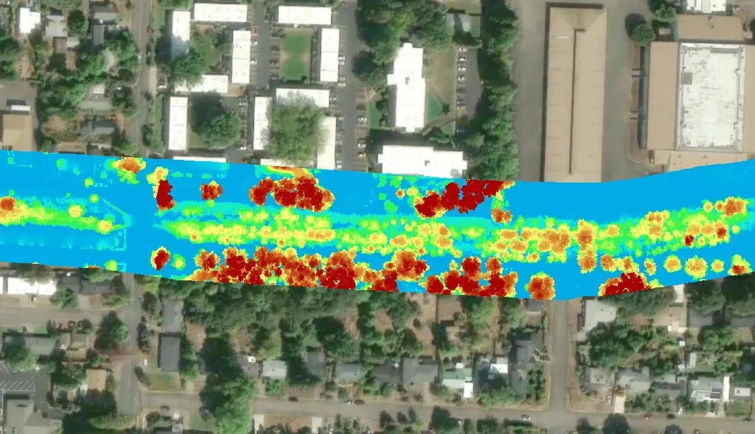 Forestry & Vegetation in Hawaiʻi
