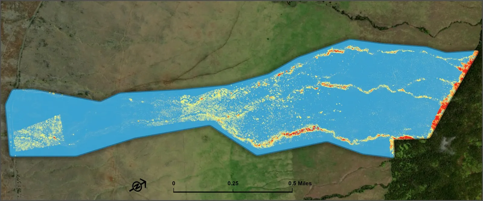 Canopy height model of the Koaia Trail site.