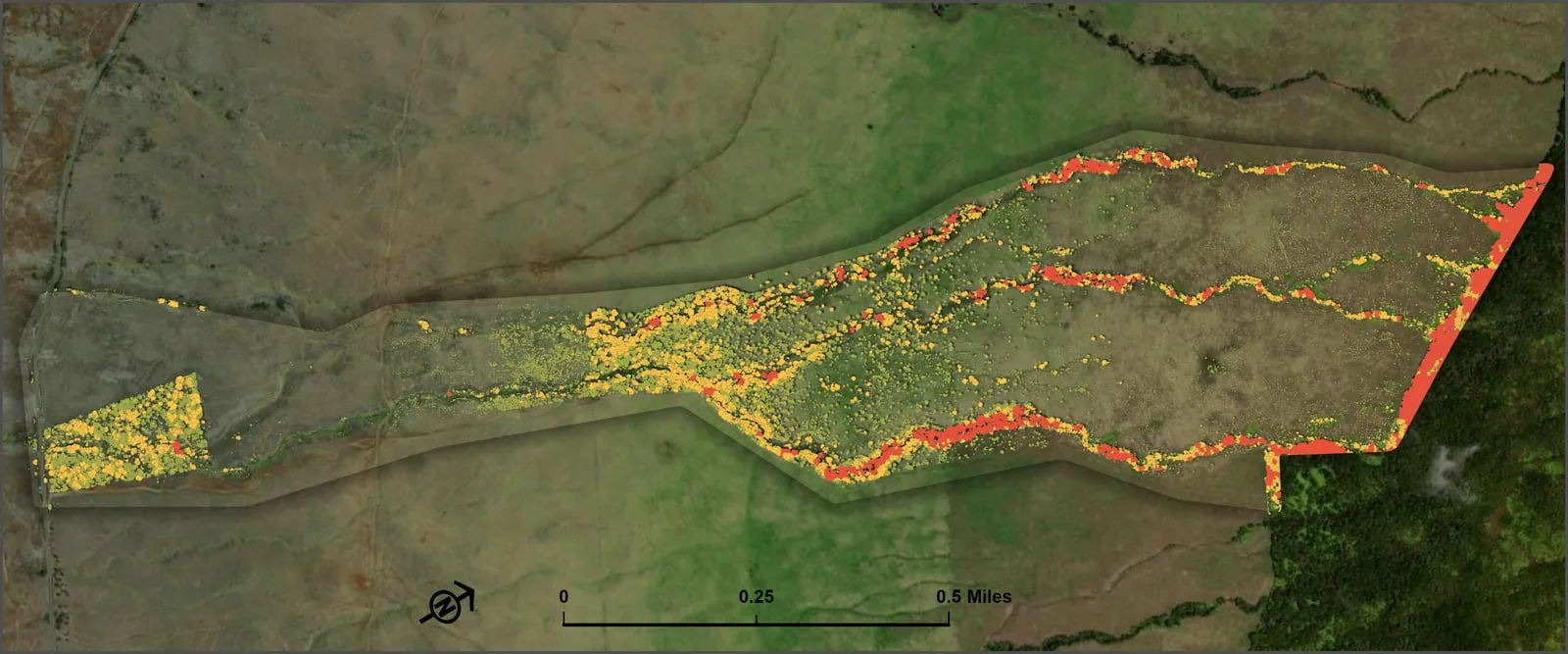 Habitat and canopy mapping over a natural area.