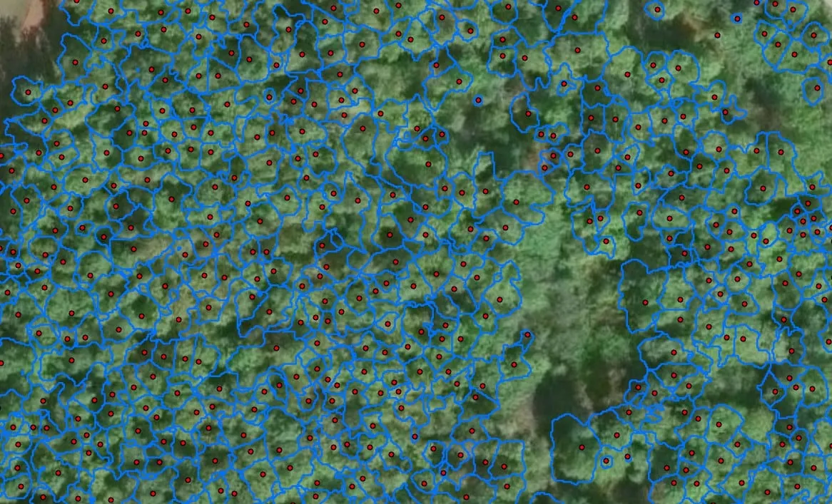 Per-tree canopy polygons over aerial imagery.
