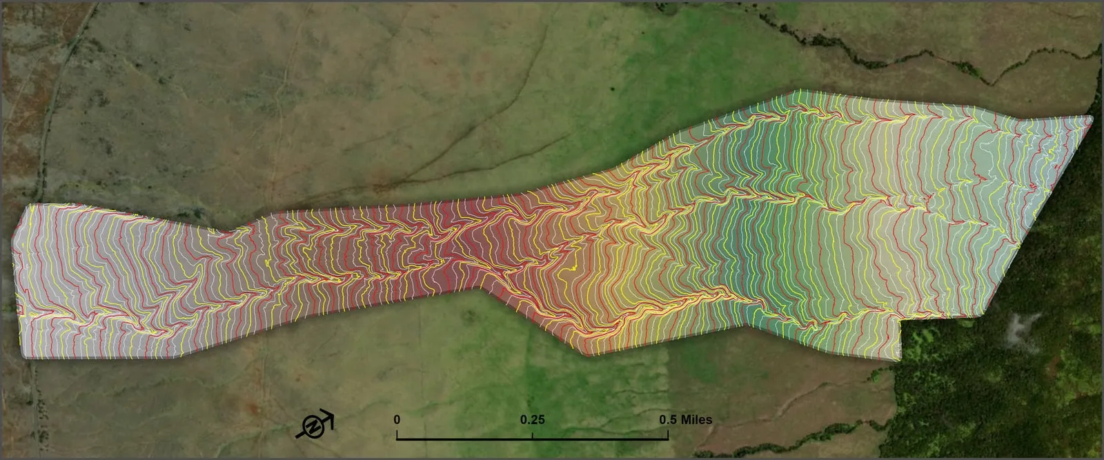 Topographic contour map of the Koaia Trail generated from drone LiDAR.