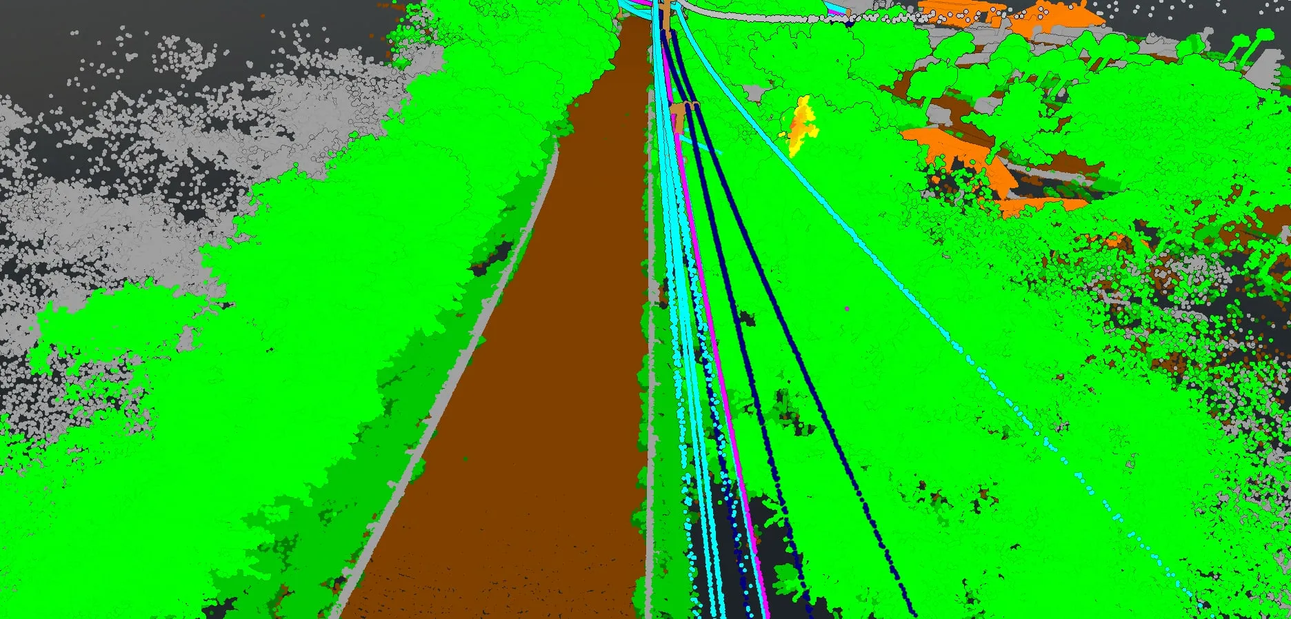 Classified point cloud looking along a power line corridor near Kawaihae, the wires running away over the trees and ground.