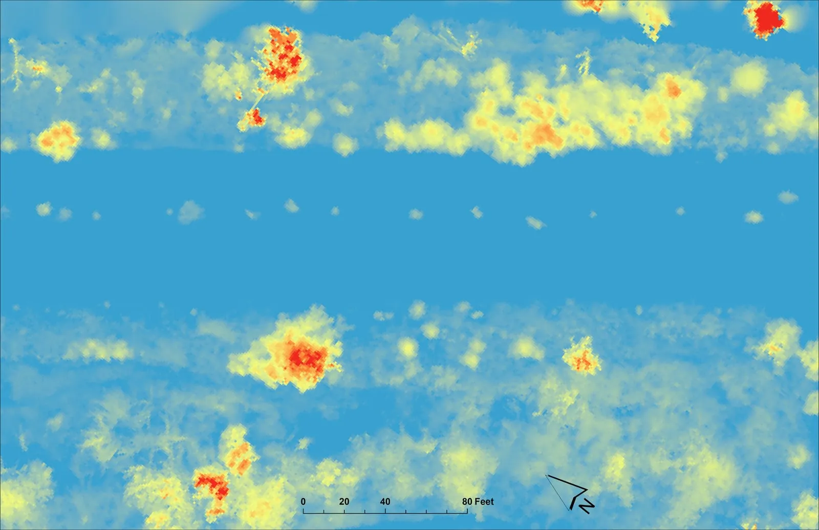 Canopy height model along a utility corridor.