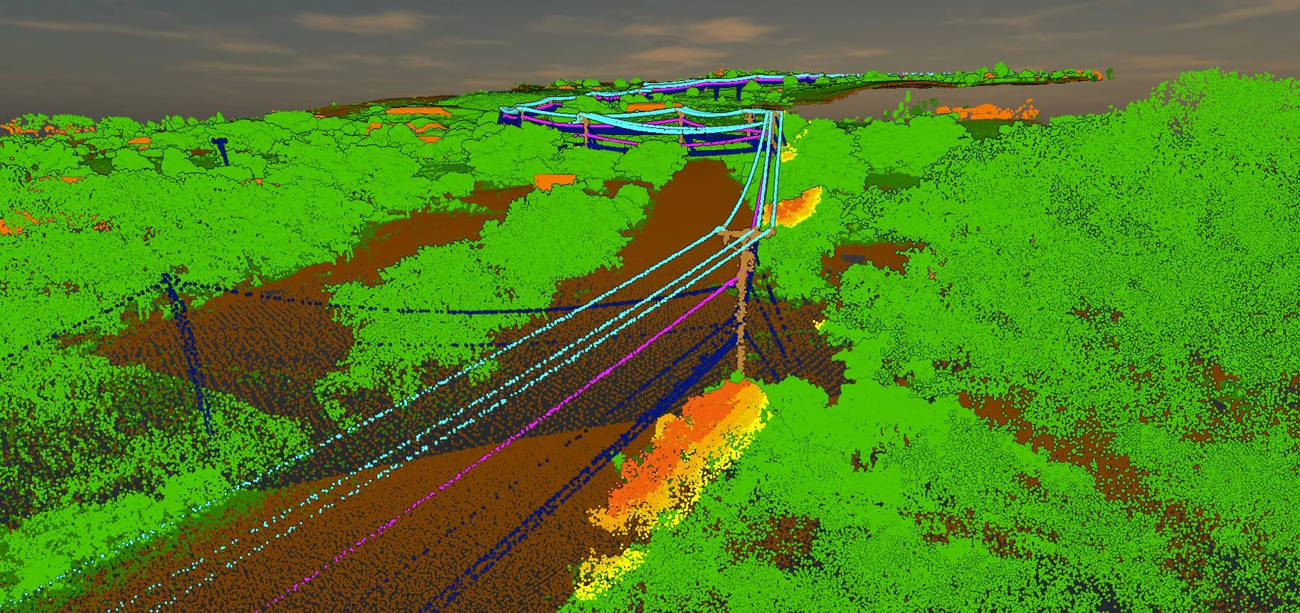 Classified LiDAR point cloud of a Hawaiʻi Island power line corridor: ground in brown, trees in green, wires in blue and magenta, and vegetation near the lines highlighted in orange and yellow.