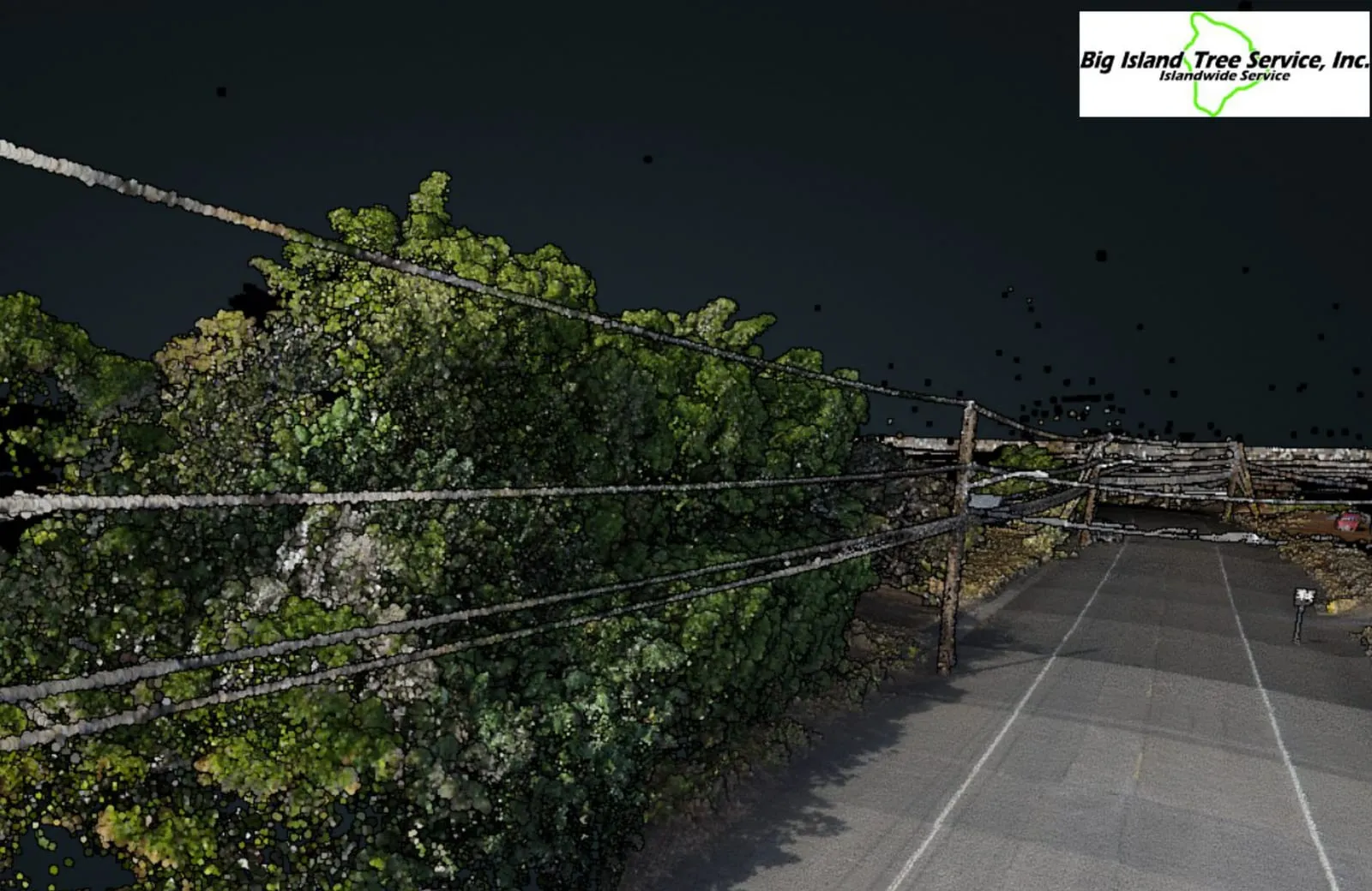 Drone LiDAR in true color of trees grown up against a roadside power line, with the Big Island Tree Service logo.