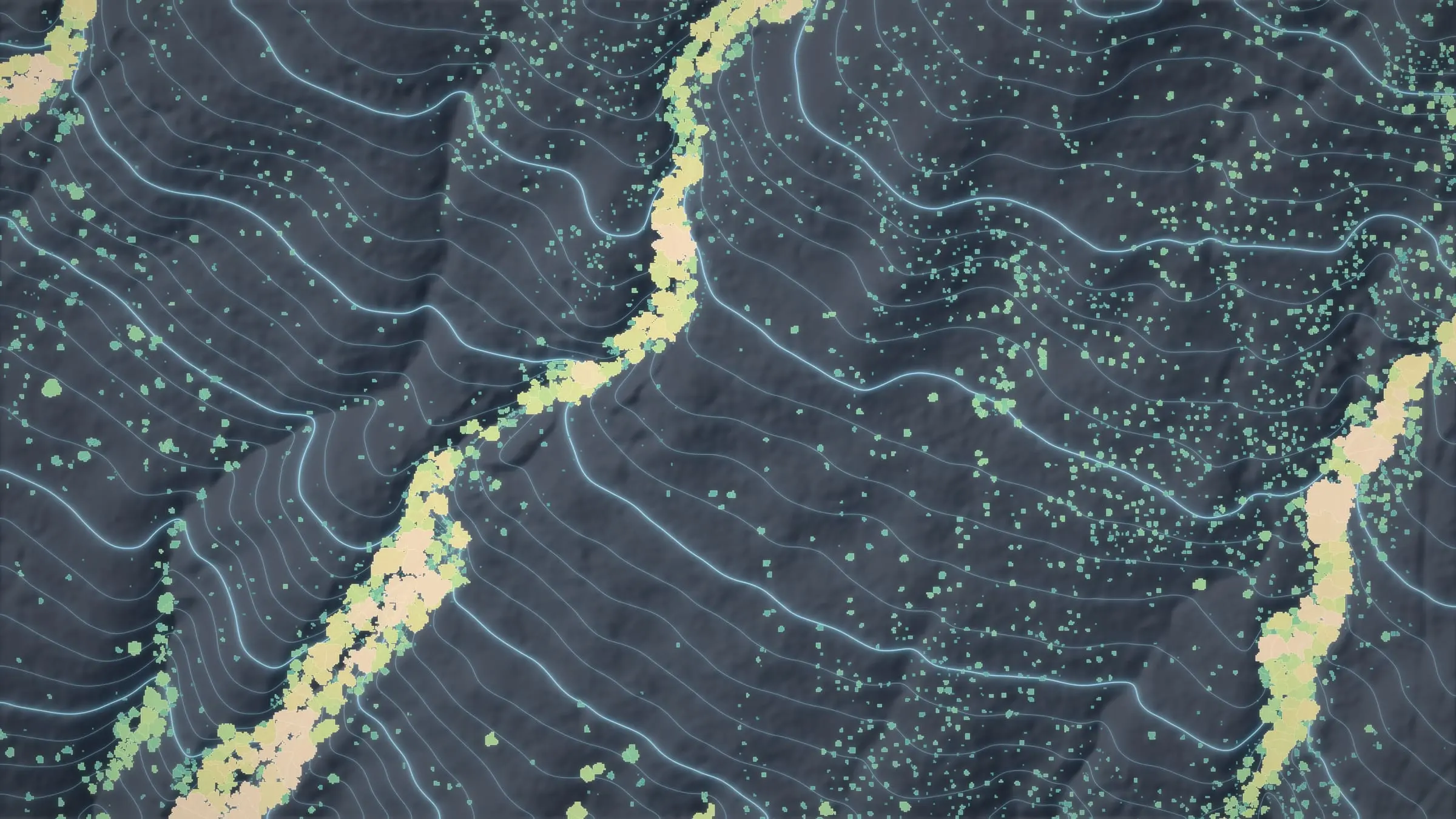 Tree crowns at Koaiʻa filled by height over glowing ground contours, from drone LiDAR on the Kohala slopes of Hawaiʻi Island.