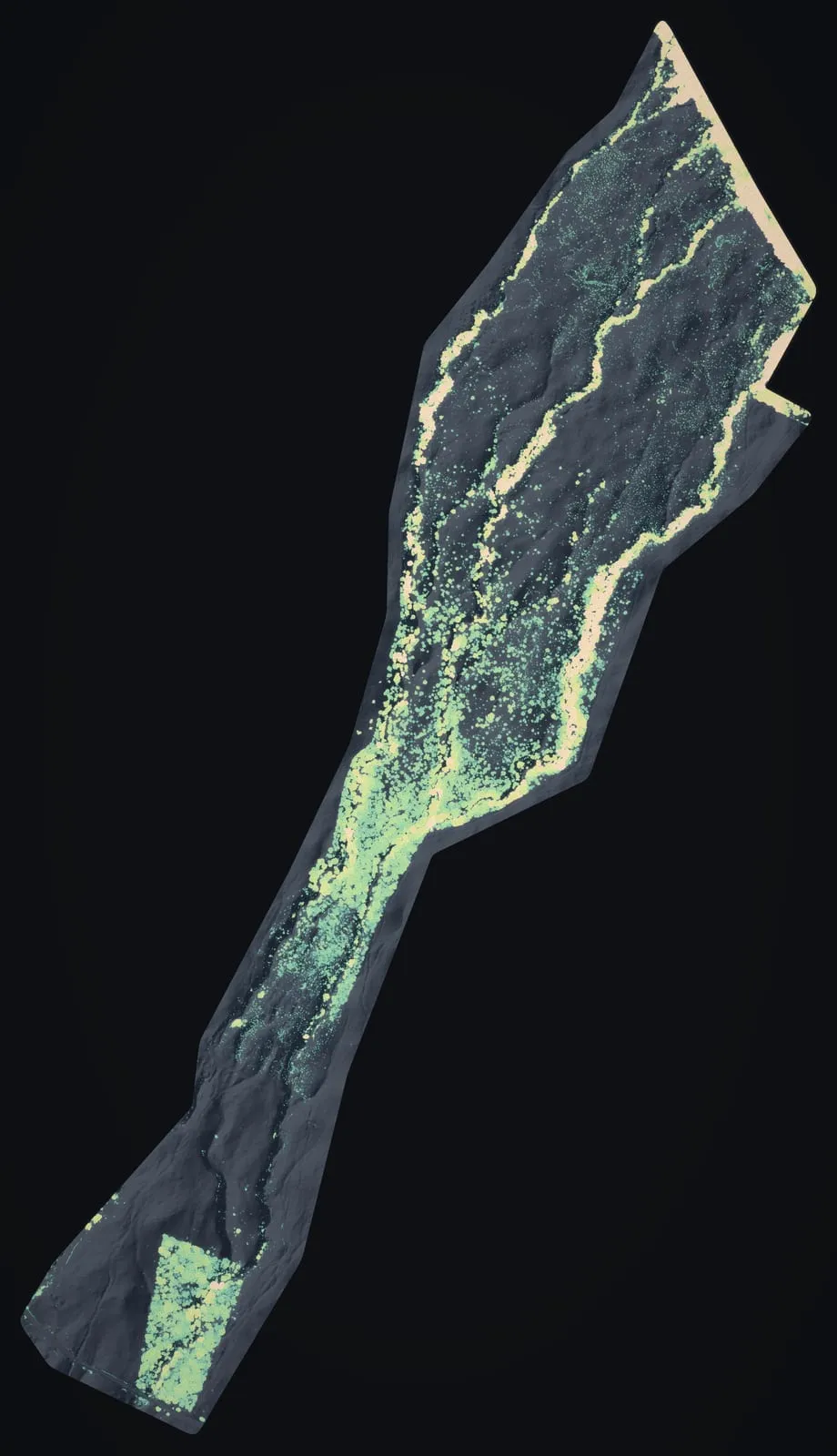 The 34,336 tree crowns mapped from drone LiDAR along the Koaiʻa trail corridor, a long diagonal strip of forest and pasture on the Kohala slopes.