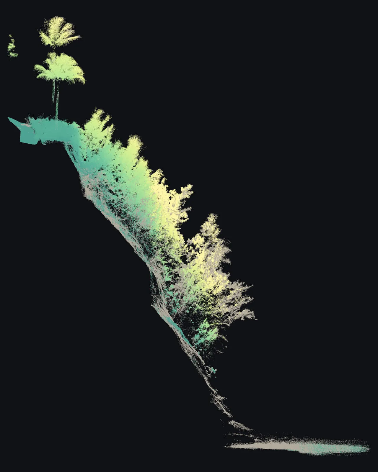 A slice 16 m wide of the cliff seen side on: palms on the top edge and a wall of trees growing out of the face and leaning over the drop, in sea green to butter yellow by height.