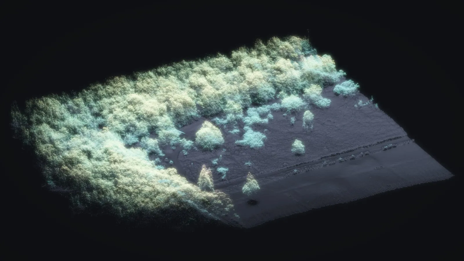 Drone LiDAR of a forest edge and pasture in Volcano, Hawaiʻi Island, drawn as points of light with the trees glowing pale green.