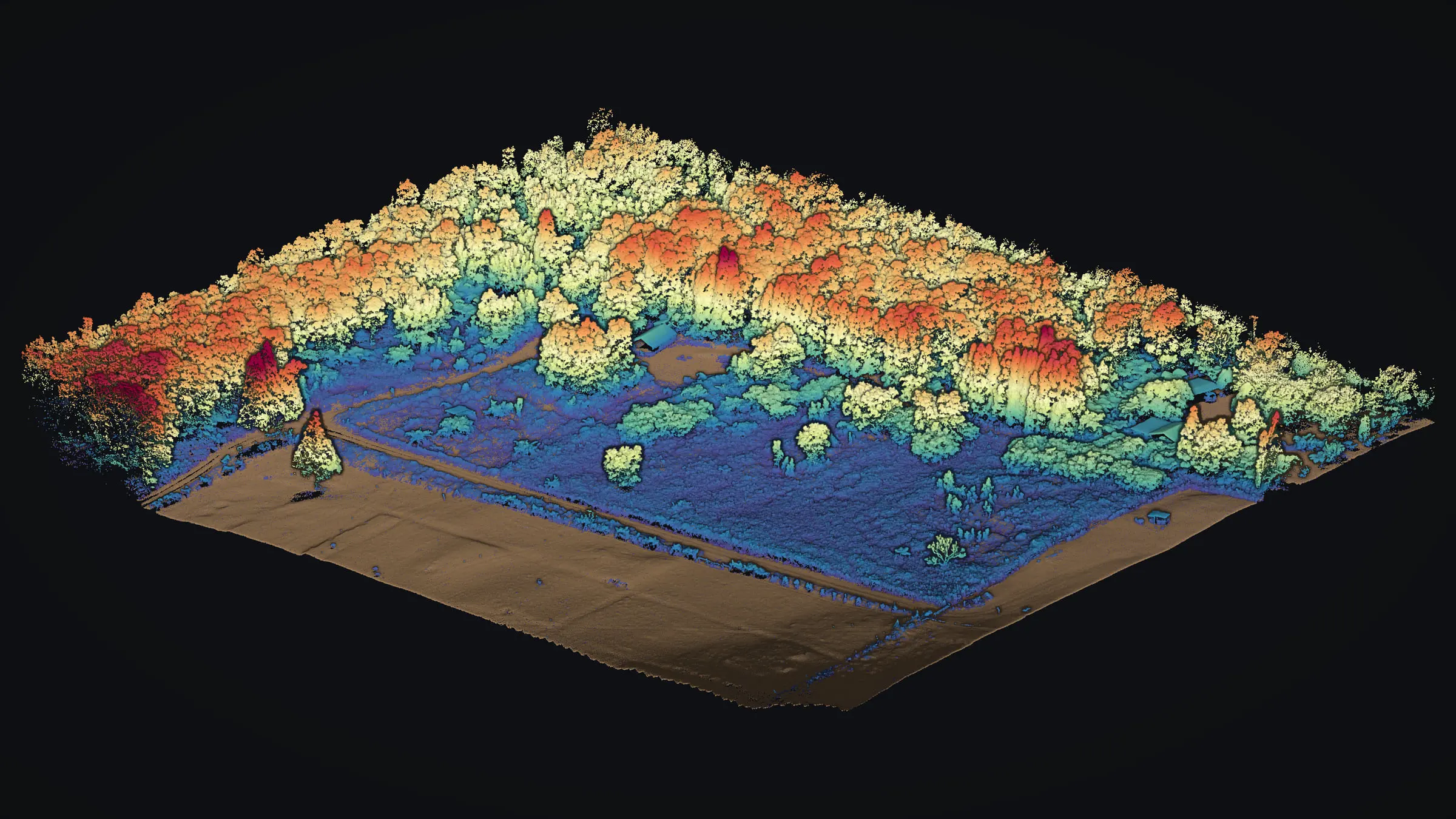 Drone LiDAR of a forest edge and an open pasture in Volcano, Hawaiʻi Island, seen low in 3D: the ground in tan, low growth in blue, and the trees standing on it colored by height through pale yellow and orange to red for the tallest.