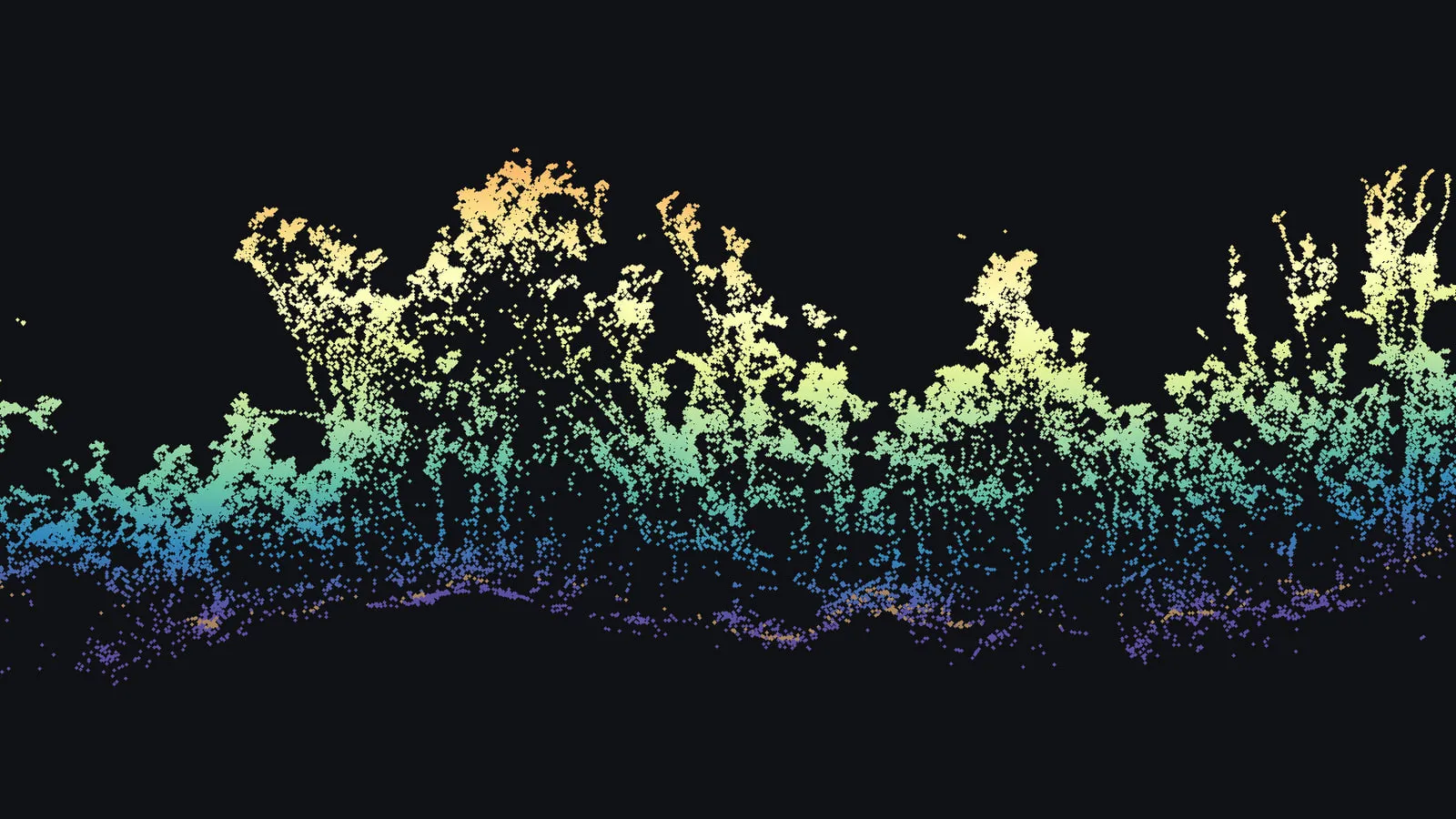 A slice 2 m wide and 100 m long through the drone LiDAR of the Mountain View forest: a thin line of ground returns in purple along the bottom, and the canopy above it rising through blue and green to pale yellow and orange at the treetops.