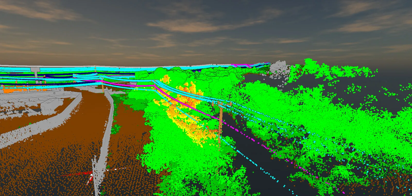 Classified point cloud of the Kawaihae corridor in March 2025 before trimming: a tree beside a pole flagged in orange and yellow where it reaches toward the wires, with structures as grey points on the left.