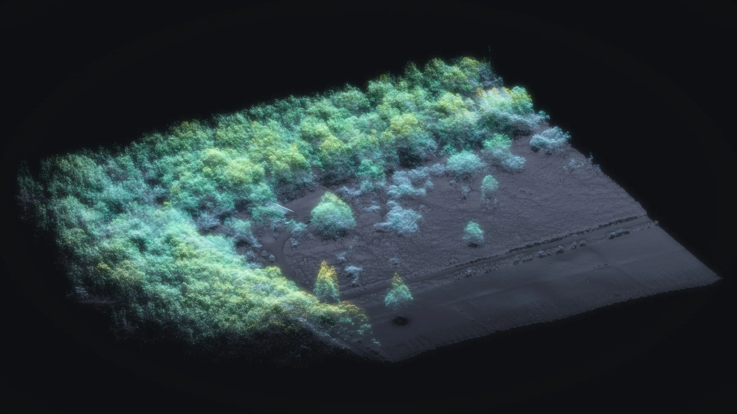 The Volcano forest edge as LiDAR light: the trees glowing cyan and green by height beside the dark open pasture.