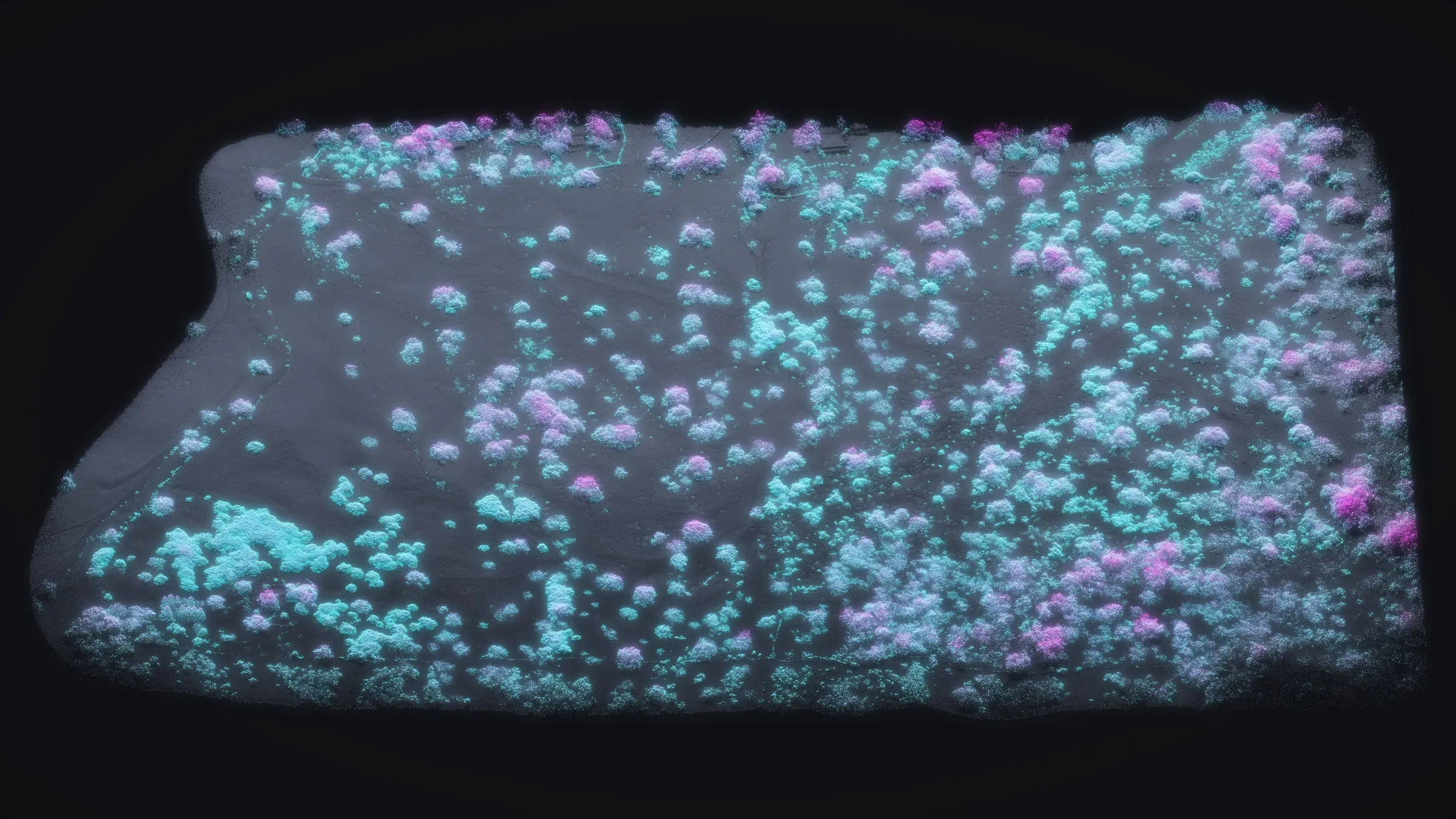The Kēōkea point cloud as light looking uphill: every tree and shrub glowing cyan to violet with its height over a dim relief of the ground.