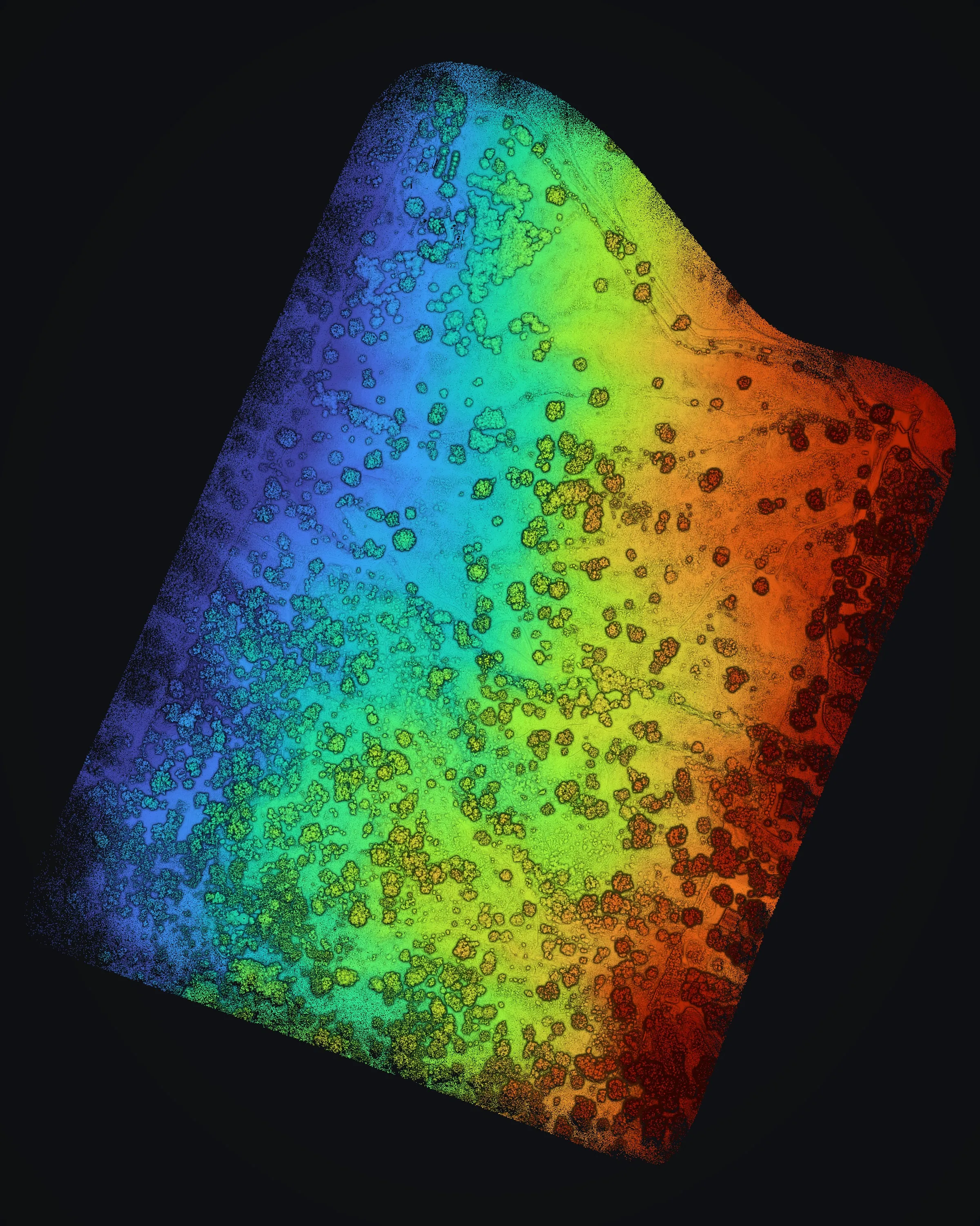 The whole Kēōkea point cloud from straight above, every return colored by elevation from blue on the low side to red on the high side, trees standing out as dots.
