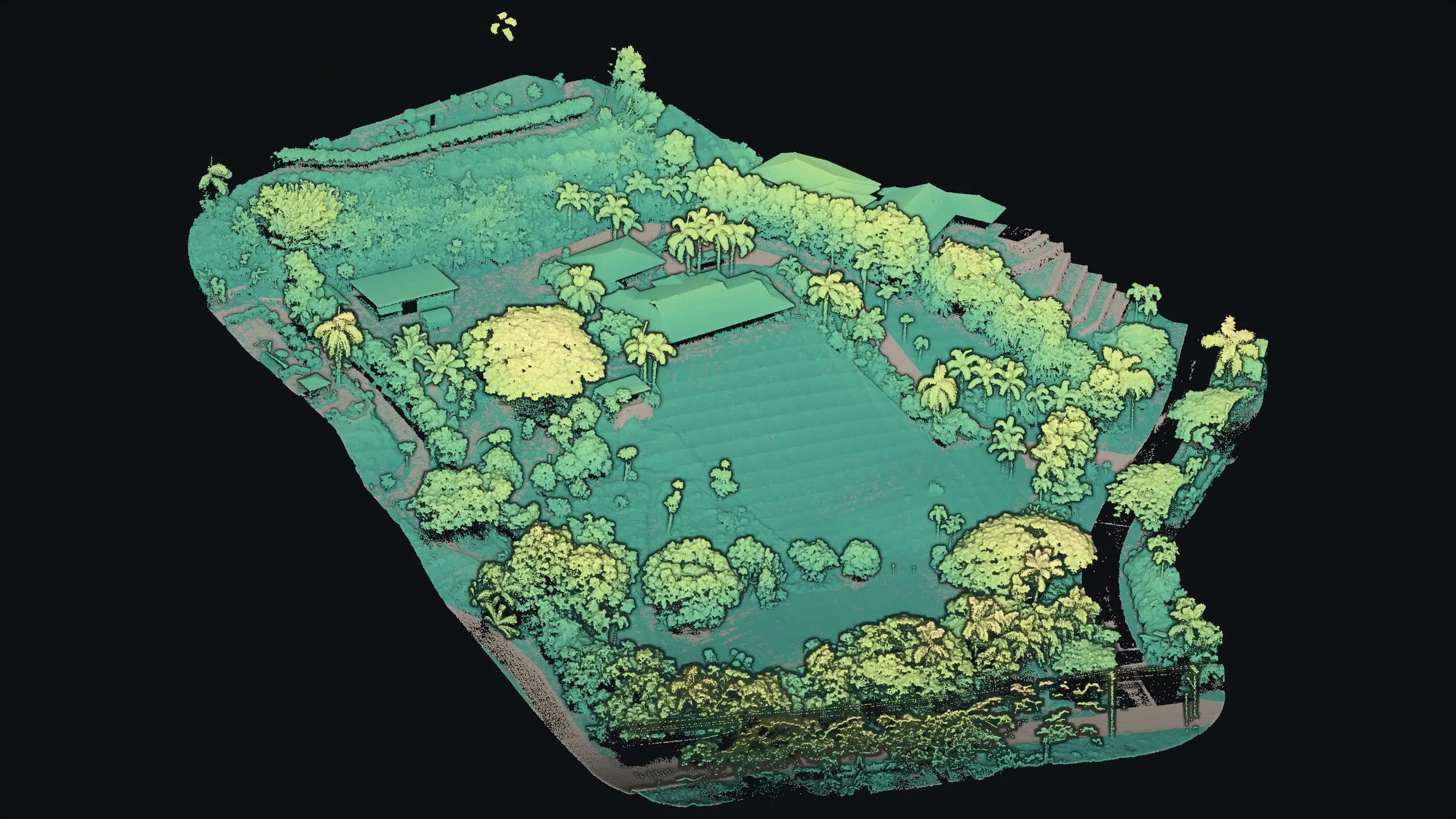 Every LiDAR return colored by its height above the ground beneath it, gray ground to sea green and butter yellow in the tallest crowns.
