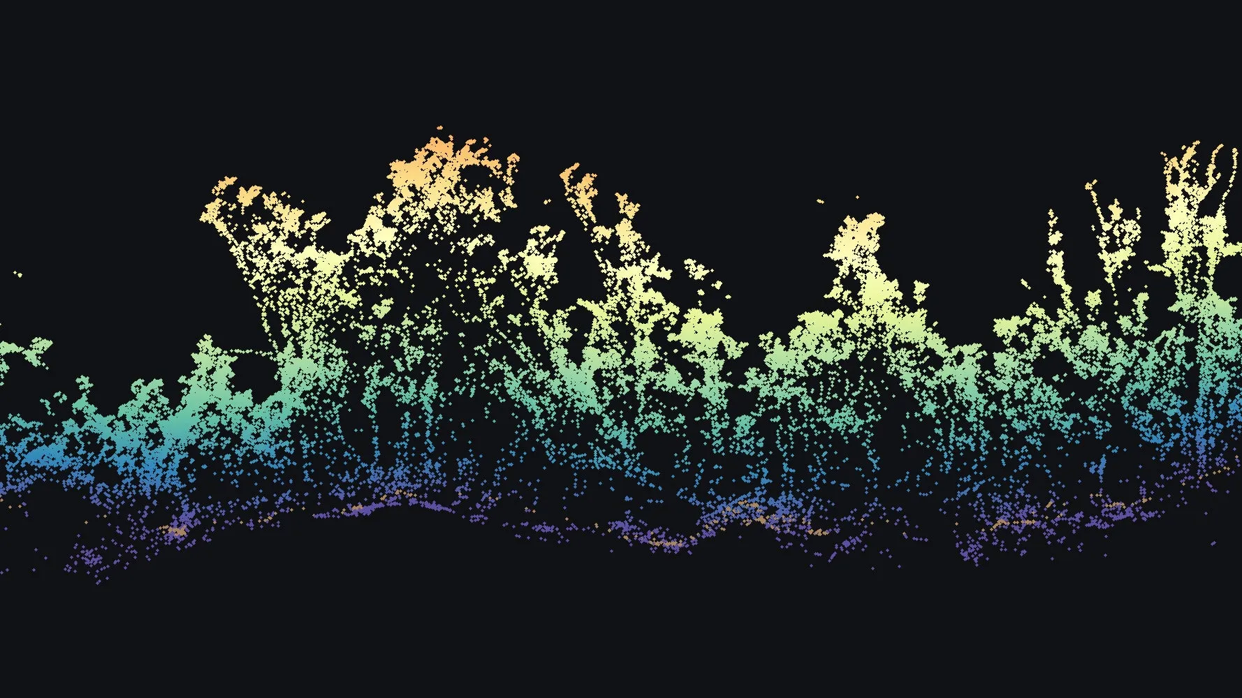 A thin slice through the Mountain View point cloud: the ground line along the bottom and the forest standing tall above it, colored by height.