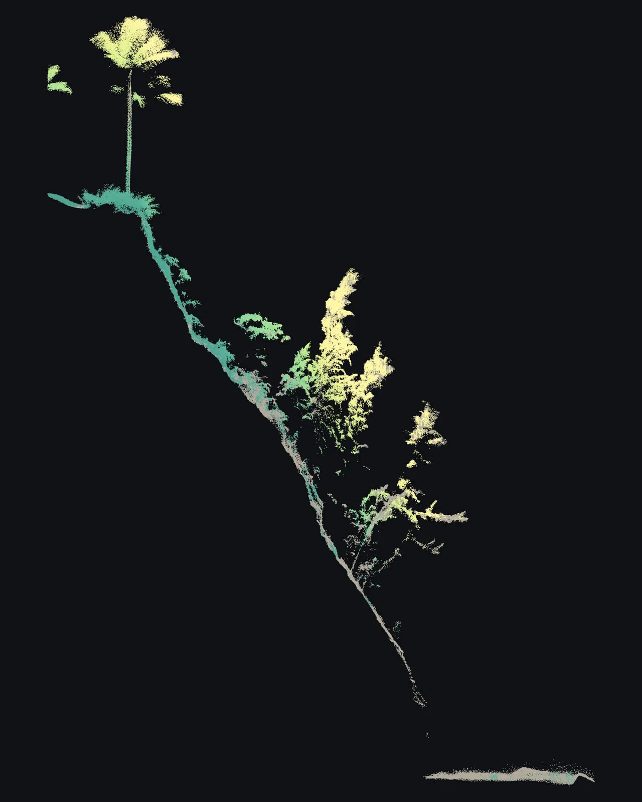 A slice 2 m wide cut square to the cliff: a palm on the top edge at the upper left, the face dropping steeply to the sea at the lower right, and trees growing out from the face partway down.