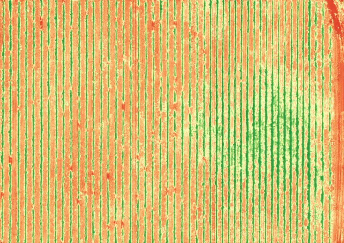 Multispectral in Hawaiʻi