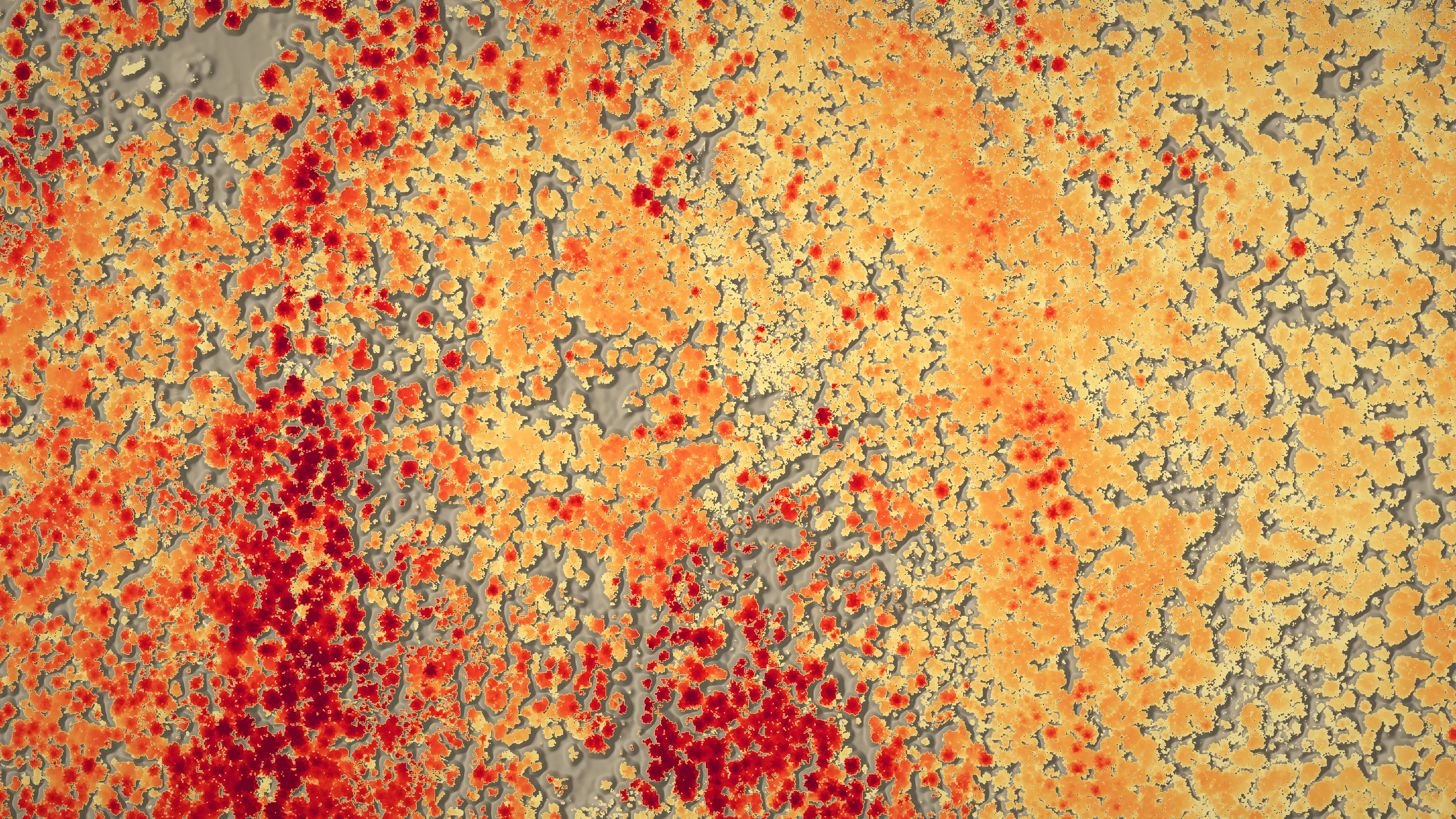 Canopy height across a block of forest drawn flat, pale yellow for the lowest brush through orange to deep red for the tallest crowns, with bare ground in grey.
