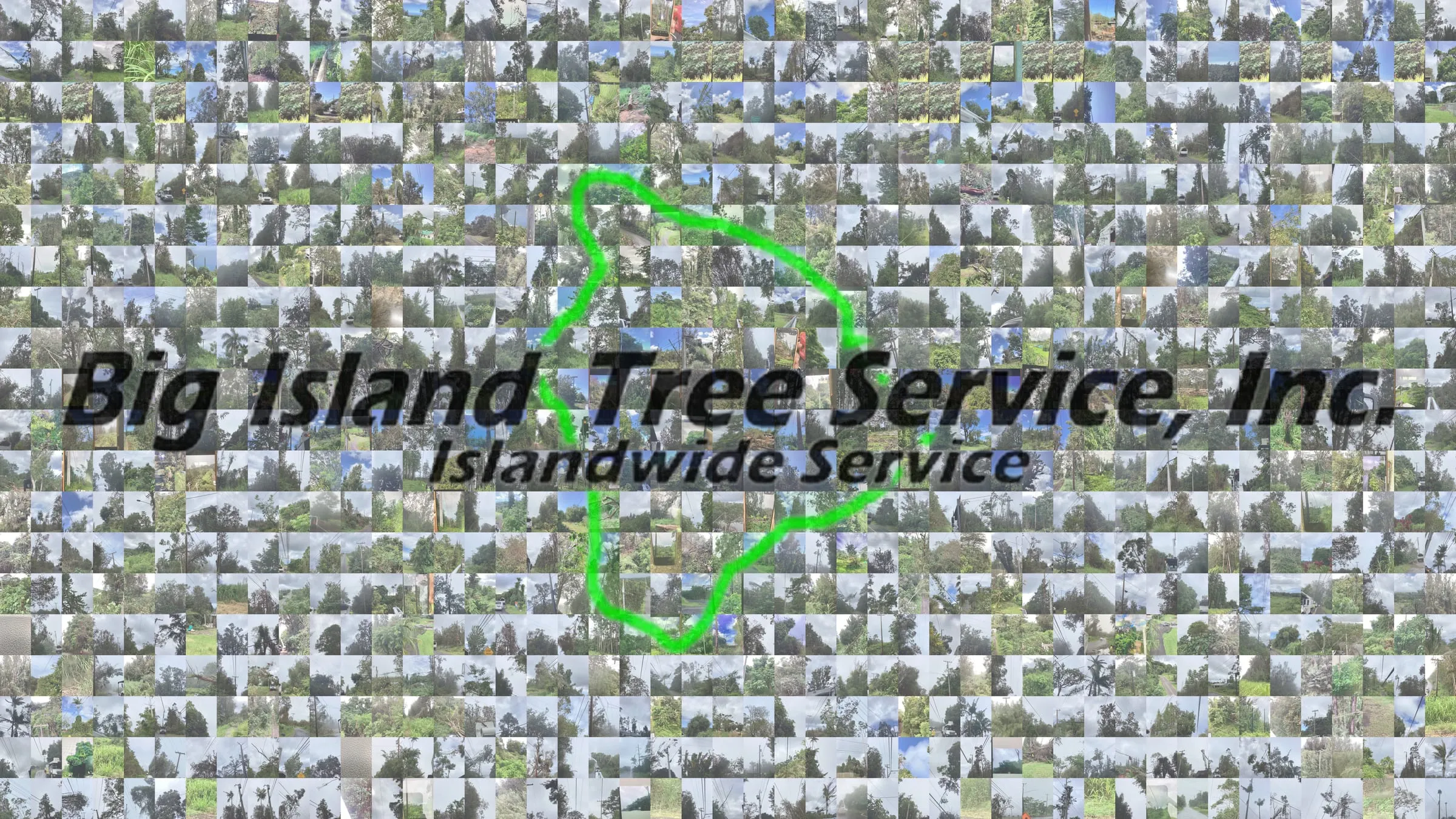 The Big Island Tree Service logo rebuilt as a mosaic of hundreds of small storm photos from the crews' field records after Hurricane Lala.