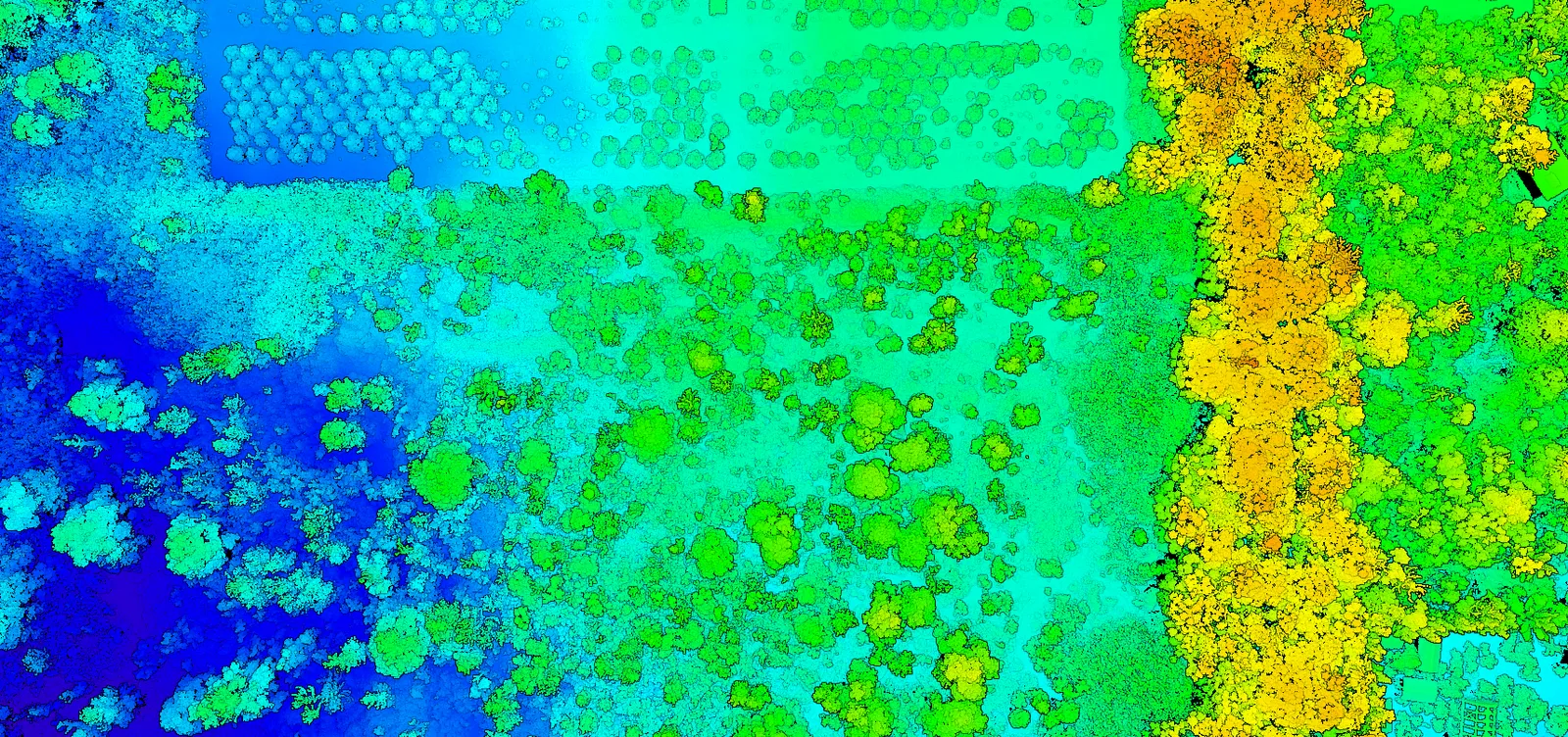 Classified LiDAR point cloud colored by elevation.