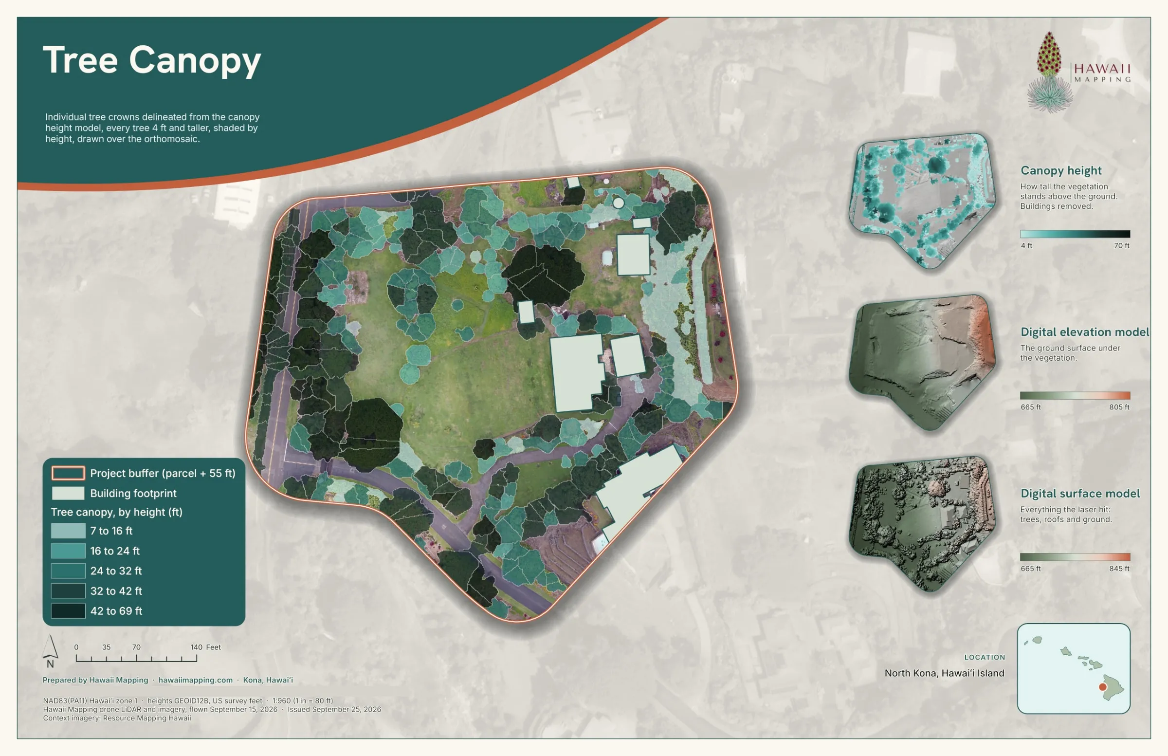 The delivered tree canopy sheet: every crown drawn and shaded by its height over the photograph.