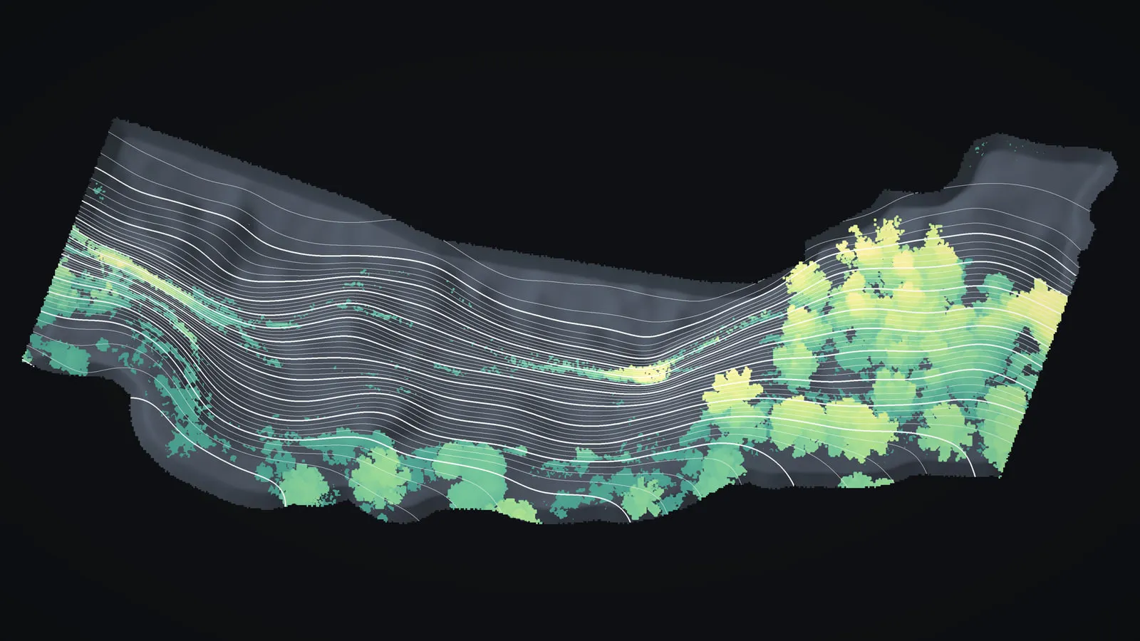The strip of ground along the top of a sea cliff seen in perspective, the plants on it colored green to yellow by their height above the ground, with pale unlabeled contour lines running across it.