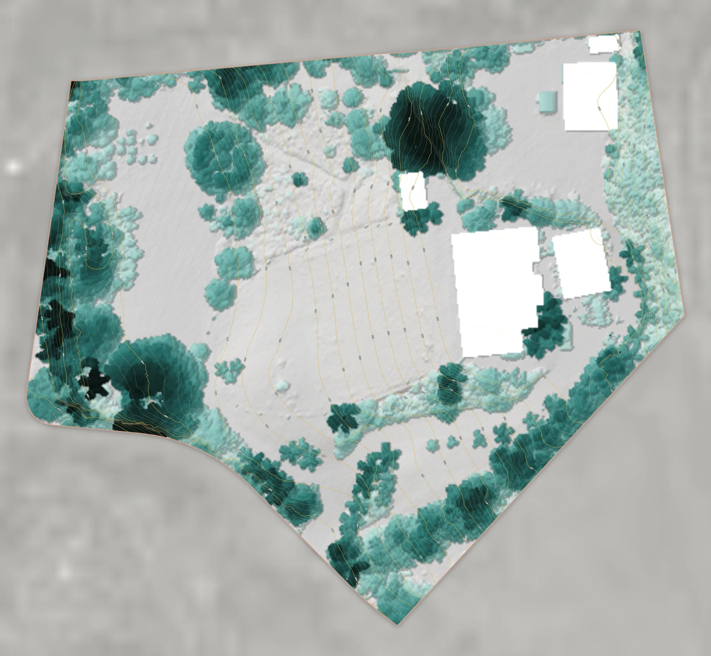The online viewer map of canopy height inside the property, pale to deep teal with the height of the trees, with 1 ft contours.