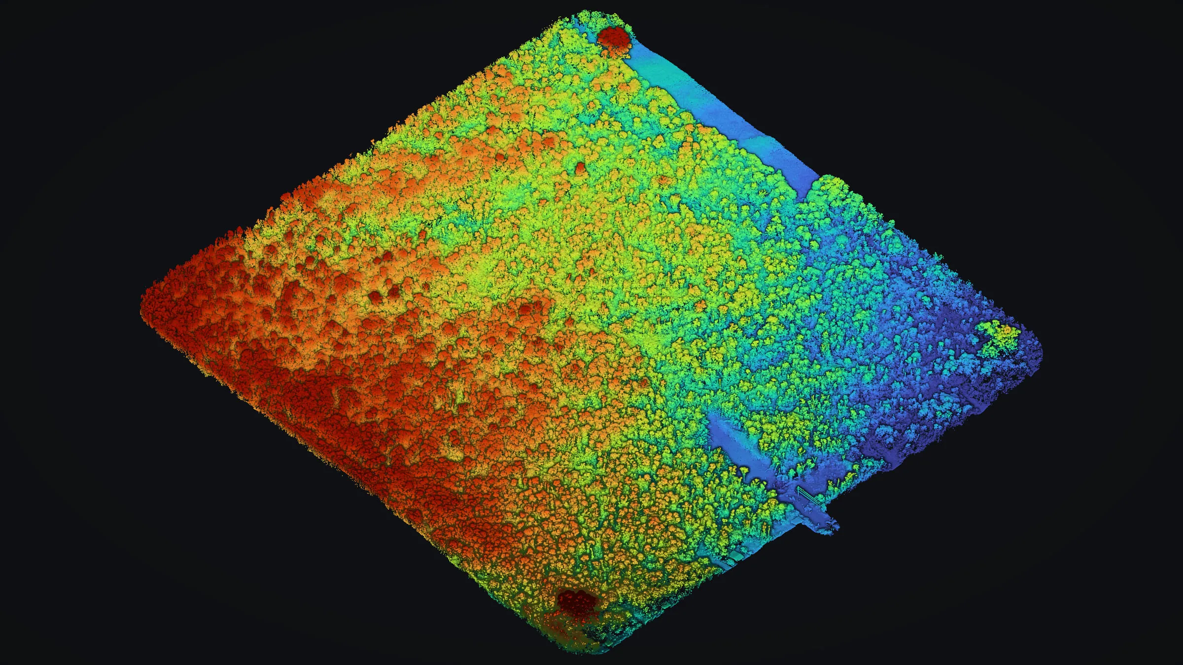 Drone LiDAR of a wooded lot in Mountain View in 3D, the ground and crowns colored by height from red on the high ground to blue on the low.