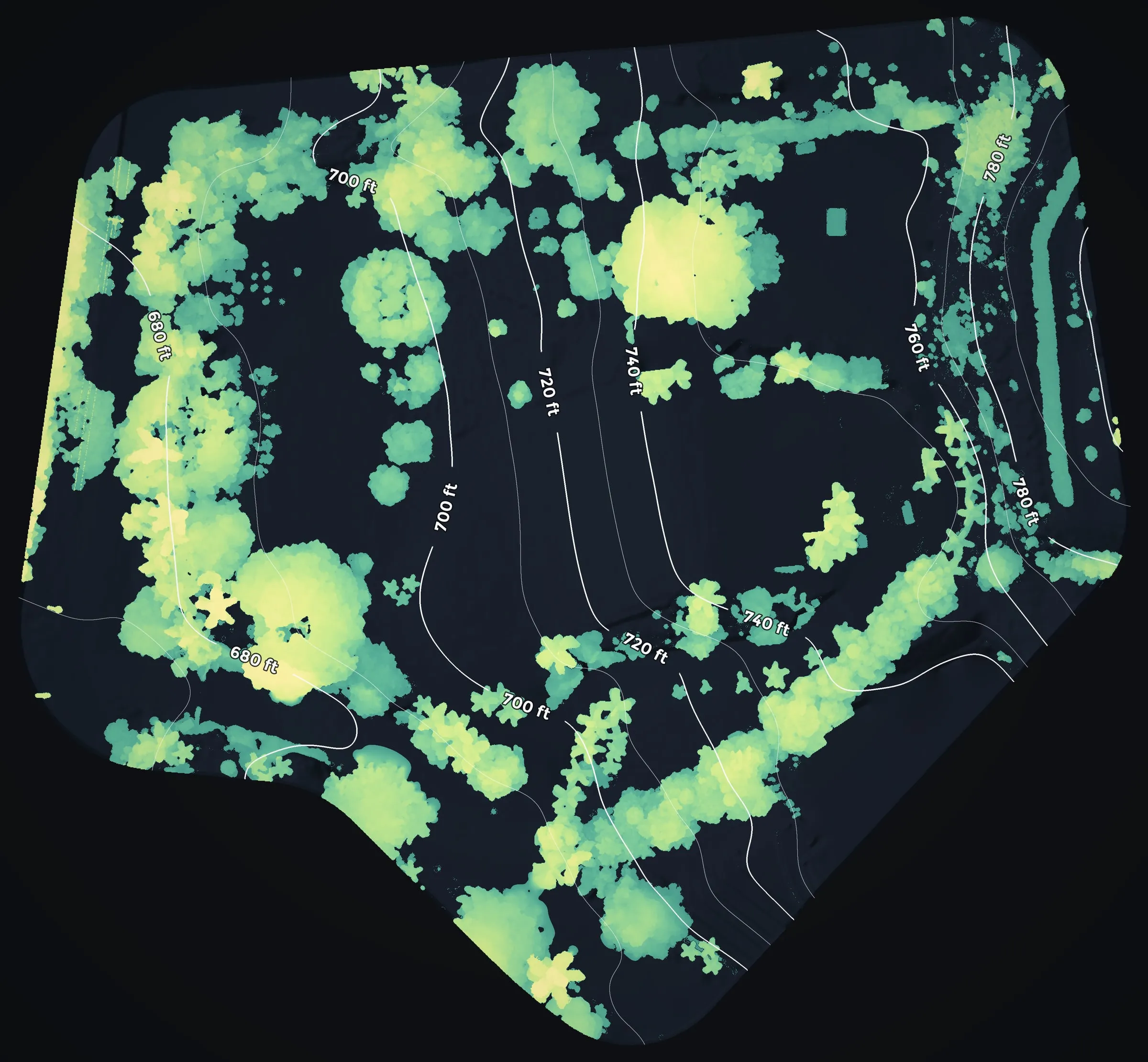 Canopy height across the whole parcel from above, every tree over 6 ft colored sea green for the shortest to butter yellow for the tallest, over the ground and its contours.