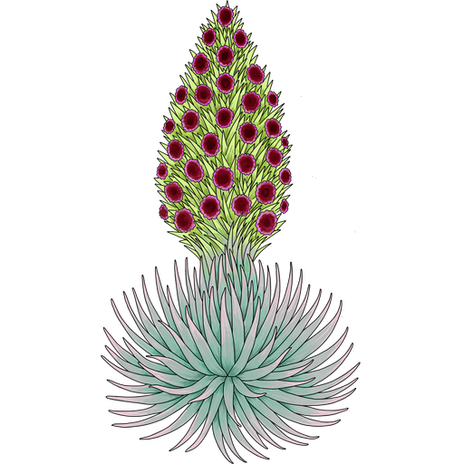 Hawaii Mapping logo