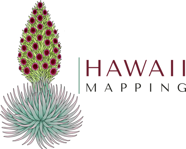 Hawaii Mapping — Hawaii GIS & remote sensing
